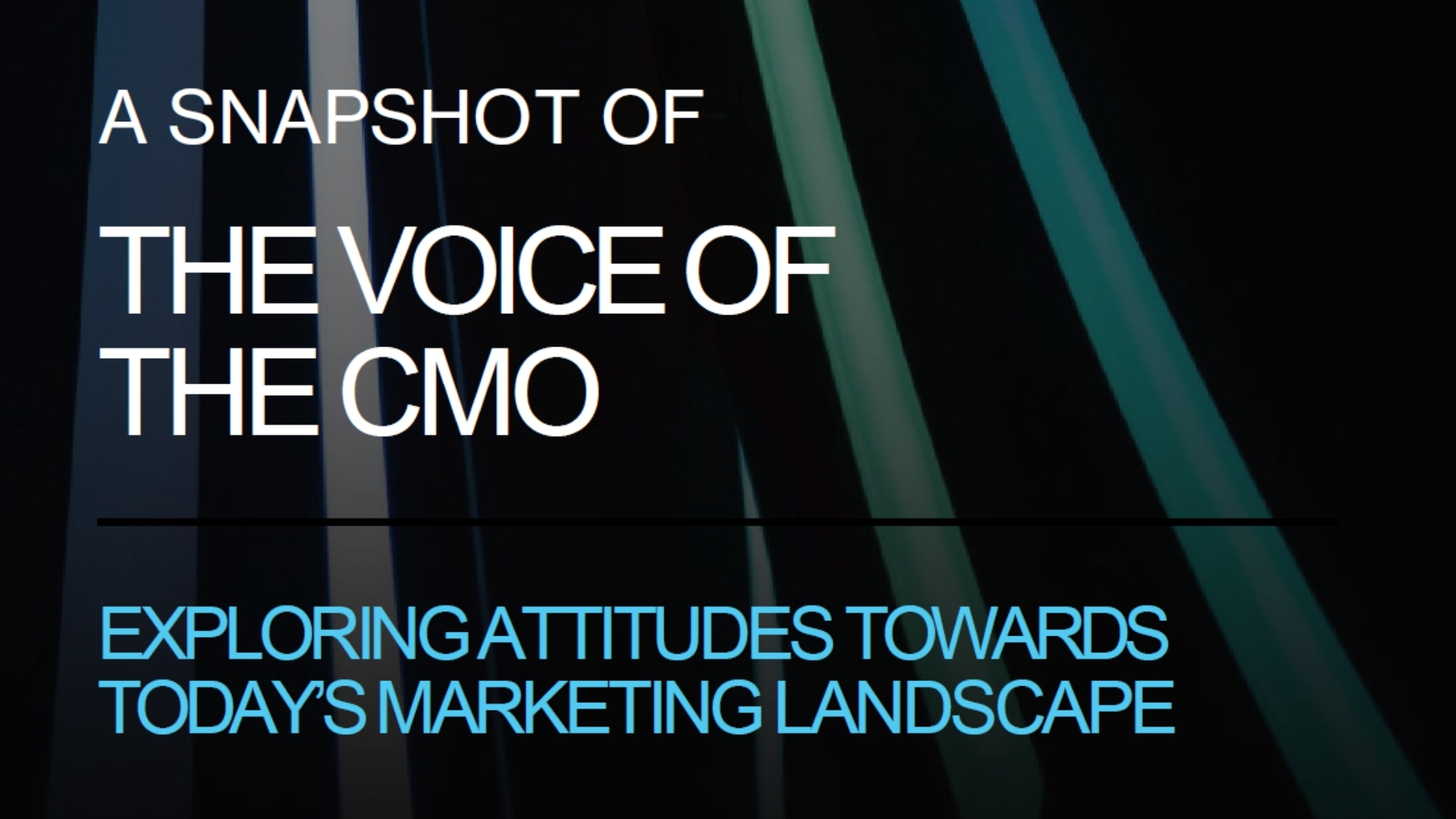 Snapshot Voice of the CMO